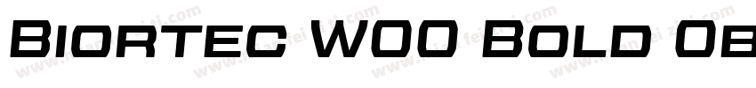 Biortec W00 Bold Oblique字体转换